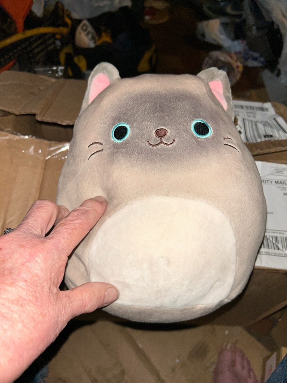Squishmallows Gray and Cream Cat Plush